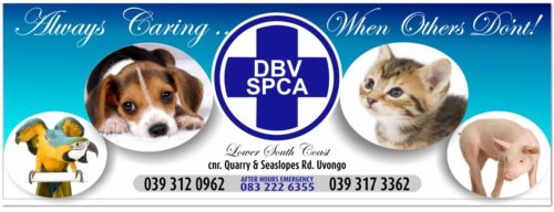 south coast spca